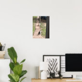 Katze Poster (Heimbüro)