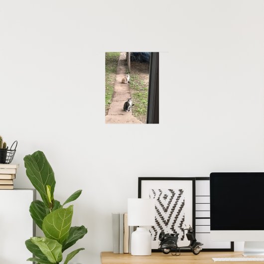 Katze Poster (Heimbüro)