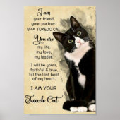 Katze Poster (Vorne)