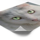 Katze Poster (Ecke)