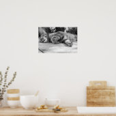 Katze Poster (Küche)