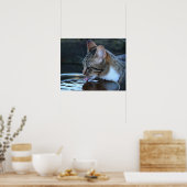 Katze Poster (Küche)