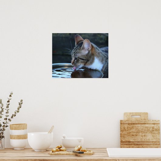Katze Poster (Küche)