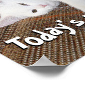 Katze - Poster (Ecke)