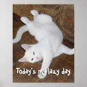 Katze - Poster (Vorne)