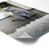 Katze Poster (Ecke)