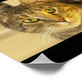 Katze Poster (Ecke)
