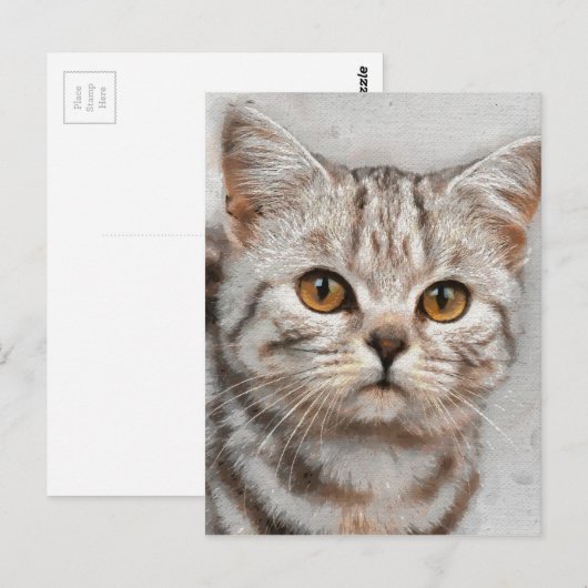 Katze Postkarte (Vorne/Hinten)