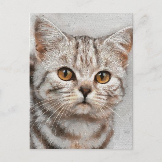 Katze Postkarte (Vorderseite)