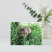 Katze Postkarte (Stehend Vorderseite)