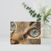Katze Postkarte (Stehend Vorderseite)