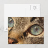 Katze Postkarte (Vorne/Hinten)
