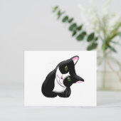 Katze Postkarte (Stehend Vorderseite)