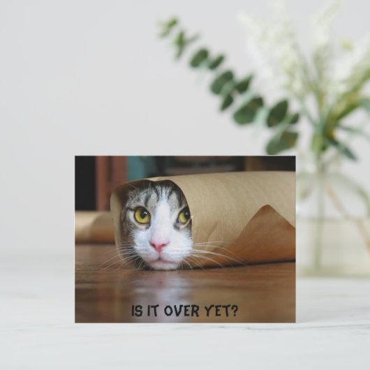 Katze Postkarte (Stehend Vorderseite)