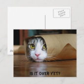 Katze Postkarte (Vorne/Hinten)