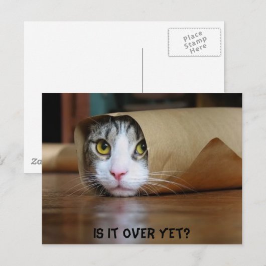 Katze Postkarte (Vorne/Hinten)