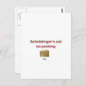 katze postkarte (Vorne/Hinten)