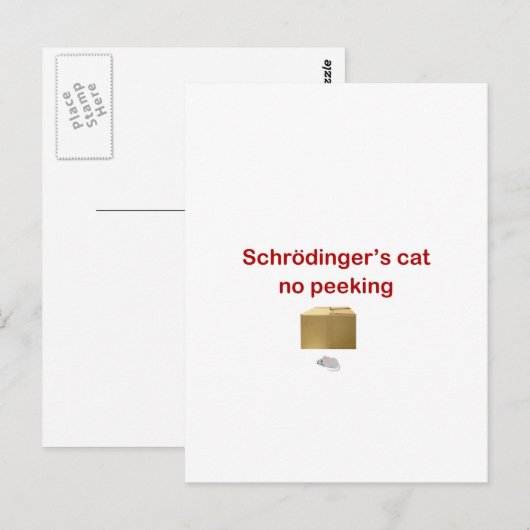 katze postkarte (Vorne/Hinten)
