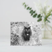 Katze Postkarte (Stehend Vorderseite)
