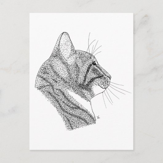 Katze Postkarte (Vorderseite)
