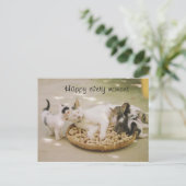 Katze Postkarte (Stehend Vorderseite)