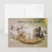 Katze Postkarte (Vorne/Hinten)