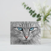Katze Postkarte (Stehend Vorderseite)