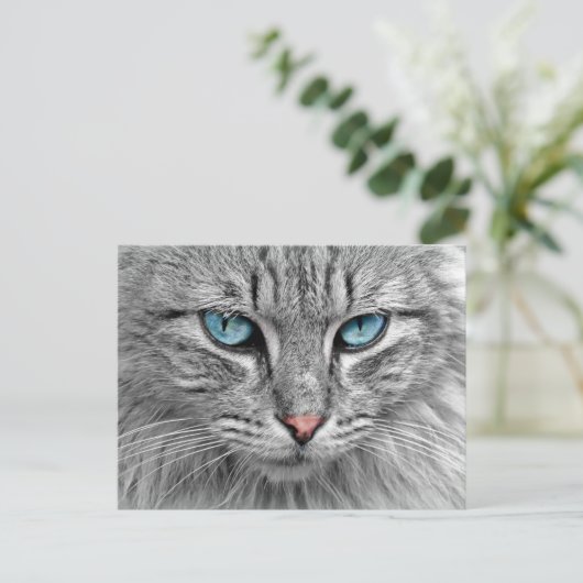 Katze Postkarte (Stehend Vorderseite)