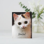 Katze Postkarte (Stehend Vorderseite)