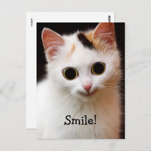 Katze Postkarte (Vorne/Hinten)