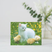 katze postkarte (Stehend Vorderseite)