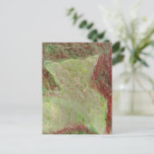 Katze Postkarte (Stehend Vorderseite)