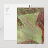 Katze Postkarte (Vorne/Hinten)