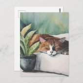 Katze Postkarte (Vorne/Hinten)