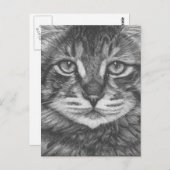 Katze Postkarte. Zeichnend Stift Postkarte (Vorne/Hinten)