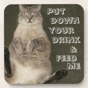 Katze "PUT DOWN DRINK & FÜTTRE ME" Untersetzer - S