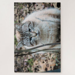 Katze Puzzle