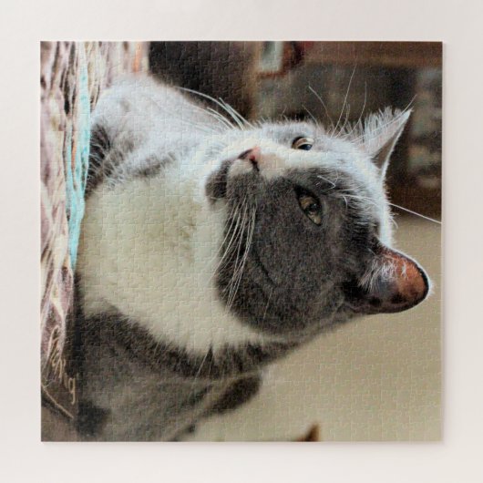 Katze Puzzle (Horizontal)