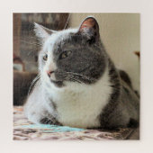 Katze Puzzle (Vertikal)