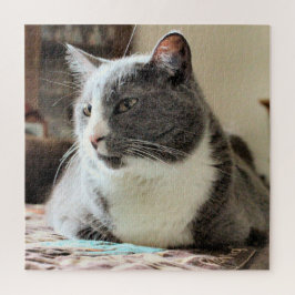 Katze Puzzle