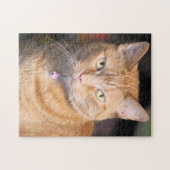 Katze Puzzle (Horizontal)
