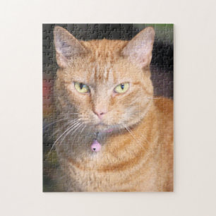 Katze Puzzle