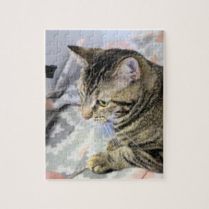 Katze Puzzle