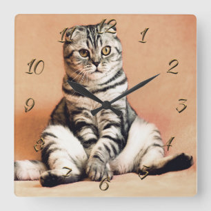Katze Quadratische Wanduhr