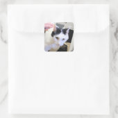 Katze Quadratischer Aufkleber (Tasche)