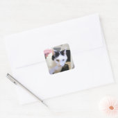 Katze Quadratischer Aufkleber (Umschlag)
