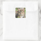 Katze Quadratischer Aufkleber (Tasche)