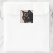 Katze Quadratischer Aufkleber (Tasche)