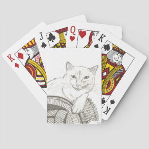 Katze Ragdoll Porträt Spielkarten