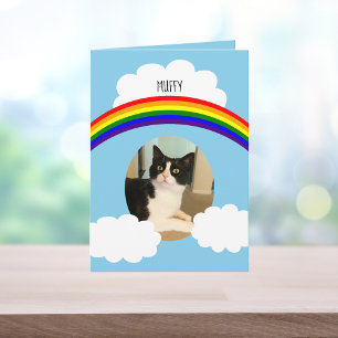 Katze Rainbow Foto Beileid Karte